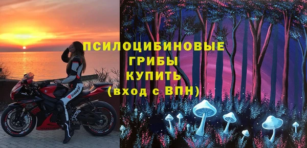 ПСИЛОЦИБИНОВЫЕ ГРИБЫ Абинск