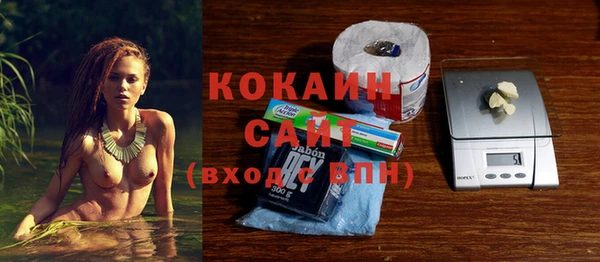 твердый Алексеевка