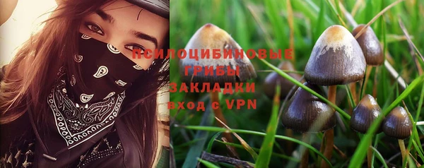 твердый Алексеевка