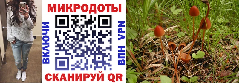 Псилоцибиновые грибы Magic Shrooms  где купить наркоту  Богородск 