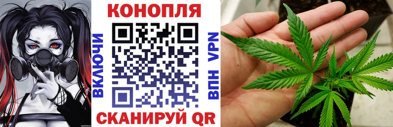 Шишки марихуана тримм  Богородск 